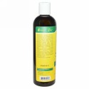 Organix South, TheraNeem Organix, Shampoo, Gentle Therapé, 12 fl oz (360 ml)