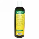 Organix South, TheraNeem Organix, Conditioner, Scalp Therapé, Neem, Lemon & Peppermint, 12 fl oz (360 ml)
