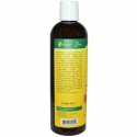 Organix South, TheraNeem Organix, シャンプー, Scalp Therapé, 12液量オンス (360 ml)