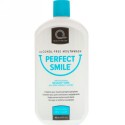 Perfect Smile, Alcohol-Free Mouthwash, Refreshing Mint Flavor, 16 oz (474 ml) (Discontinued Item)