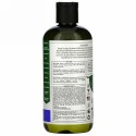 Petal Fresh, Pure, Shampoo, Anti-Frizz Lavender, 16 fl oz (475 ml)