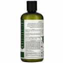 Petal Fresh, ピュア、スカルプトリートメントシャンプー、ティーツリー、475 ml（16 fl oz）