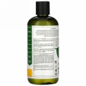 Petal Fresh, ピュア、ウルトラシャインシャンプー、アロエとシトラス、16液量オンス (475 ml)