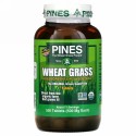 Pines International, Pines ヒメカモジグサ, 500 mg, 500 錠