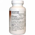 Planetary Herbals, フルスペクトラムチャーガ（Chaga）, 1,000 mg, 120錠