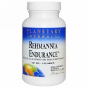 Planetary Herbals, 地黄属の持久力（Rehmannia Endurance）, 637 mg, 150錠