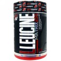 ProSupps, LLeucine, Matrix 250, 9.0 oz (255 g) (Discontinued Item)