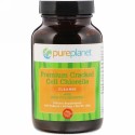 Pure Planet, プレミアム割れ細胞クロレラ, 200 mg, 600錠
