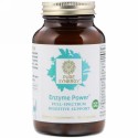 Pure Synergy, 酵素パワー、フルスペクトル消化サポート、90カプセル