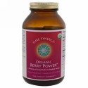 Pure Synergy, オーガニックベリーパワー、8オンス (225 g) (Discontinued Item)