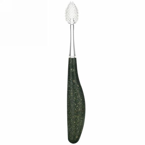 RADIUS, Source Brush, Soft, Replaceable Head, 1 Toothbrush