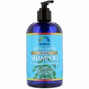 Rainbow Research, ヘナ & ビオチン・ハーバル・シャンプー、 12 液量オンス (360 ml)