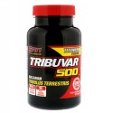 SAN Nutrition, トリビュヴァール 500、カプセル90個 (Discontinued Item)