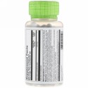 Solaray, セロリの種、505mg、植物性カプセル100個