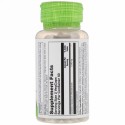 Solaray, Dandelion, 520 mg, 100 VegCaps (Discontinued Item)