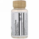 Solaray, 有機栽培発酵チャーガ、500 mg、60ベジカプセル (Discontinued Item)