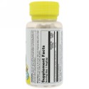 Solaray, オーガニック発酵生姜、400 mg 、100植物性カプセル (Discontinued Item)