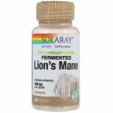 Solaray, 有機栽培発酵ヤマブシタケキノコ、550mg、植物性カプセル60粒