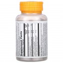 Solaray, Reacta C with  Black Elderberry, 120 VegCaps