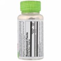 Solaray, 紅藻類（Red Marine Algae）、375 mg、ベジタリアンカプセル 100 錠