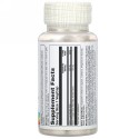 Solaray, ビタミンC、持続放出、500mg、ベジカプセル100粒