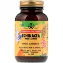 Solgar, Echinacea Herb Extract, 60 Vegetable Capsules