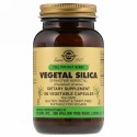 Solgar, Full Potency Herbs, Vegetal Silica, 100 Vegetable Capsules (Discontinued Item)