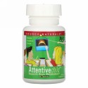 Source Naturals, アクティブチャイルド（Attentive Child）、60錠