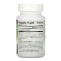 Source Naturals, Attentive DHA, 100 mg, 60 Vegetarian Softgels