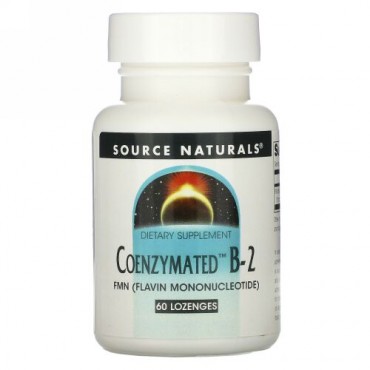 Source Naturals, コエンザイメイテッド™ B-2, 舌下錠剤, 60 錠