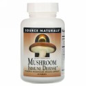 Source Naturals, キノコによる免疫防御、16-キノコ複合体、60錠剤