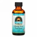 Source Naturals, ウェルネス、コロイダルシルバーネイザルスプレー、10 PPM、2 fl oz (59.14 ml)