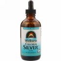 Source Naturals, ウェルネス・コロイドシルバー、45 PPM、4 fl oz (118.28 ml)