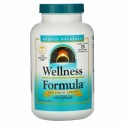 Source Naturals, Wellness Formula（ウェルネスフォーミュラ）、毎日の病気に負けない体づくりをサポート、240粒