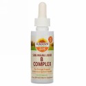 Sundown Naturals, サブリンガルBコンプレックスとB-12、 2液量オンス (59 ml)