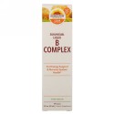 Sundown Naturals, サブリンガルBコンプレックスとB-12、 2液量オンス (59 ml)