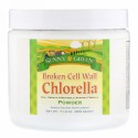Sunny Green, Broken Cell Wall Chlorella Powder, 7.14 oz (200 g) (Discontinued Item)