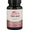 Terra Origin, Brain, 30 Capsules (Discontinued Item)