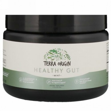 Terra Origin, ヘルシー腸パウダー、ミント、5.35オンス (151.8 g) (Discontinued Item)