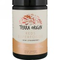 Terra Origin, Reds Superfoods, Kiwi Strawberry, 8.8 oz (249 g) (Discontinued Item)