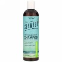 The Seaweed Bath Co., 保湿バランスシャンプー、ユーカリ＆ペパーミント、354ml（12液量オンス）