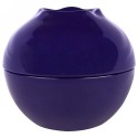 Tony Moly, ミニ・ブルーベリー・リップバーム、リップバーム1本 (Discontinued Item)