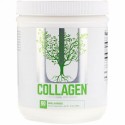 Universal Nutrition, コラーゲン、味付けなし、10.6オンス (300 g)