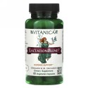 Vitanica, 授乳ブレンド、授乳サポート、ベジキャップ60錠 (Discontinued Item)