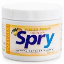 Xlear, スプライ（Spry）, チューインガム, フレッシュフルーツ, 無糖, 100カウント, （108 g）