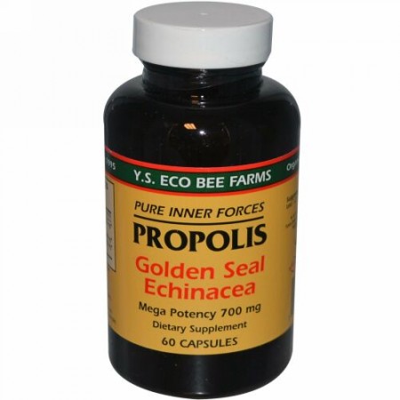Y.S. Eco Bee Farms, プロポリス、ゴールデンシール エキナセア、60 錠 (Discontinued Item)